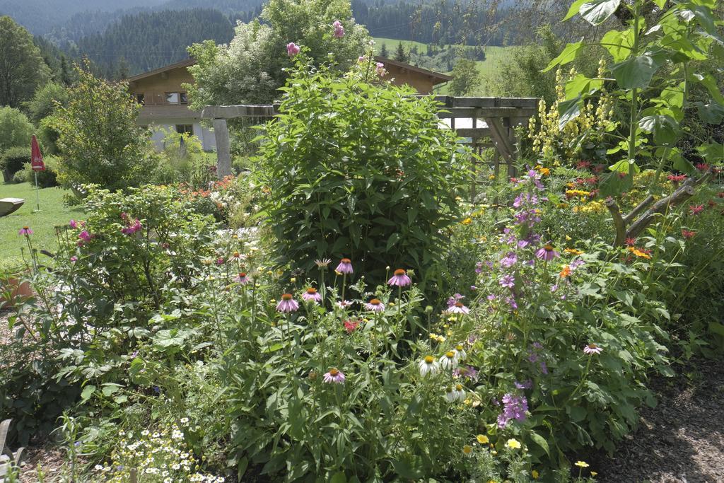Pension Aloisia Scheffau am Wilden Kaiser Eksteriør bilde